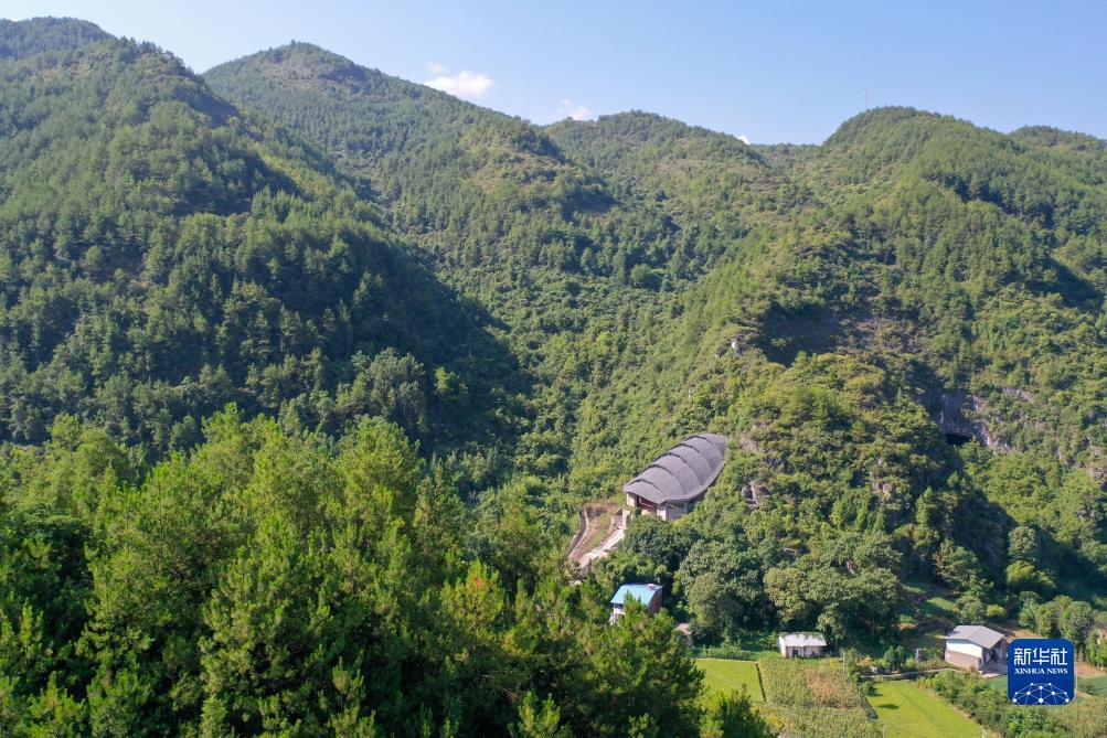 集结号官网登录